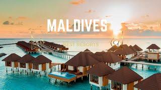 Best Resorts in Maldives With Prices( Amenities)