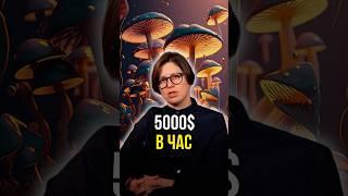 5000$ в час 