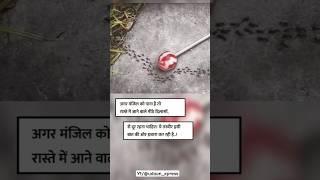 "Agar manjeel ko pana hai to, raste me aane wale meethe.!" #shorts #shortsfeed #trending