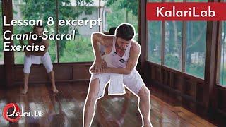 Lesson 8: Progressing the Arrapukai - The core of Cranio-Sacral exercise - Kalarilab.org