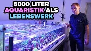 5000 liter AQUARIUM CELLAR - Manfred's life's work!