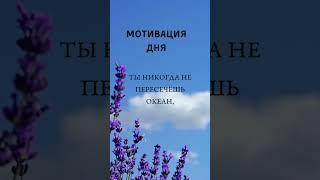Ежедневная мотивация Вдохновение на каждый день #мотивациядня #мотивациянауспех #shorts #short