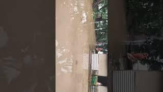 Flood in Assam/Karimganj