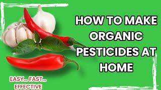 How To Make Organic Pesticide At Home Using Chilli Pepper & Garlic