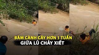 [VIDEO] Thót tim giải cứu thanh niên bị kẹt giữa lũ, bám vào cành cây hơn 1 tuần