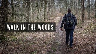 Landscape Photography - A Walk in the Woods