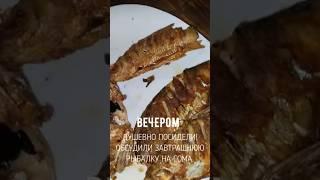 Рыбалка в Астрахани,жареная ВОБЛА ну очень вкусная, ПРОБОВАЛИ?#топ#fishing#рыбалка#еда#shorts#вкусно