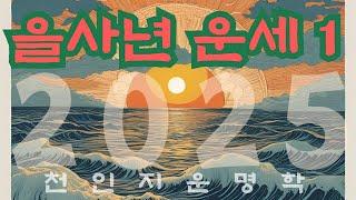 을사년 운세 1편 : 합충변화와 을경합