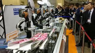 iREX 2017 - Kawada Robotics - Nextage - Packing