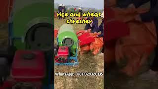 See This Powerful Rice & Wheat Thresher in Action! #rice #wheat #farming #thresher #thresh