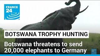 Botswana threatens to send 20,000 elephants to Germany • FRANCE 24 English