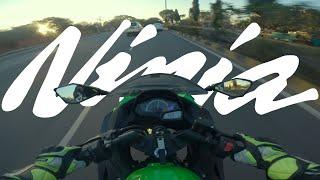 Kawasaki Ninja 300 2024 Review: Your Next Ride ? || My first Motovlog