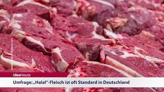 ideaHeute 17 07 2018 - Nicaragua - „Halal“-Fleisch - Affären vorbeugen