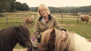 Shetland Pony Club TV Trailer