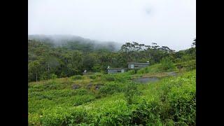 Reserva Forestal de Sinharaja. 