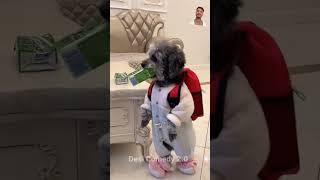 cute doggy ke sath baby khel raha Hain  #funny #dog #comedy #trending #shorts