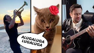 The Kiffness x Alugalug Cat 2.0 - Please Go Away (Flamenco Edit) ft. Spaul