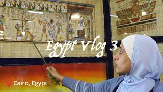 Egypt Vlog | Sphinx, papyrus museum, pyramids | Vlog 3