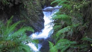 Binaural Beats for Relaxation, Study + Focus. Waterfall and Animal Sounds