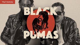 Vinyl Anatomy: "Black Pumas." the music, story, and the album design. (Live clips included!)