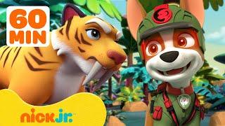 PAW Patrol's Jungle Pups Rescue Giant Animals!  w/ Marshall & Tracker | 1 Hour | Nick Jr.