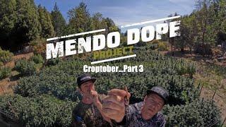 "Croptober Part 3" - The Mendo Dope Project Season 2