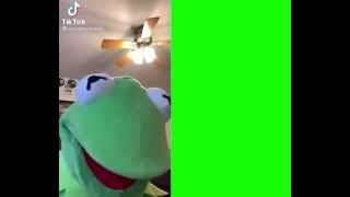 Kermit Screams at Video (Green Screen)