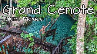 Grand Cenote Tulum  ¿Cuánto cuesta? ¿Cómo llegar?  Cenote en Tulum con tortugas! #rivieramaya