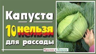 10 НЕЛЬЗЯ для рассады КАПУСТЫ