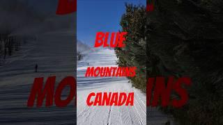 Blue Mountans Skiing Resort ️ Canada  Ontario