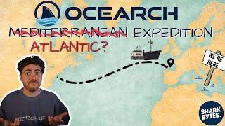 Did OCEARCH Look for Great White Sharks in the Wrong Place?