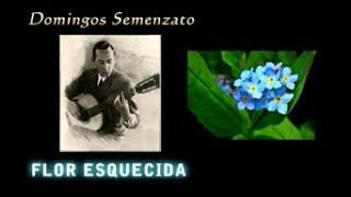 Domingos Semenzato - FLOR ESQUECIDA (Forgotten Flower)