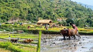 Discovering the secret of living in balance with nature in Nepal | Nepali Mountain Life | DB Limbu