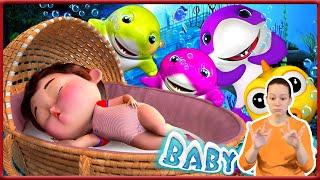 Baby Shark and Family | Dance and Sing-Along Songs  +More | Banana Kids Songs & Nursery Rhymes