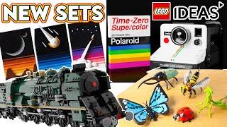 APPROVED 2023 LEGO IDEAS SETS!