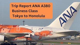 Trip Report - Business Class - ALL NIPPON AIRWAYS - Flying Honu - A380 - Tokyo Narita to Honolulu