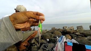 Mancing Casting di Pinggir Pantai Pakai Metal Jig killer 20 gram | Shore jigging