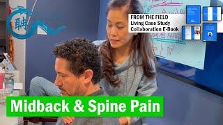 Midback Spine Pain #eileenhan #theacademyofacupuncture #balancemethodacupuncture #韓玉齡 #譚針