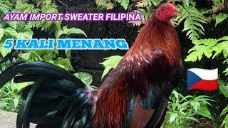 AYAM IMPORT SWEATER FILIPINA