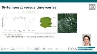 Forest Monitoring: Time Series Methods for Forest Monitoring