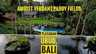 Plataran Ubud , a  5 star boutique hotel , beautiful and serene amidst the lush rice fields in Bali