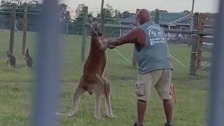 Did a Kangaroo Kill South Carolina Man?