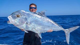 GIANT African Pompano! Catch Clean Cook (Slow Pitch Jigging)