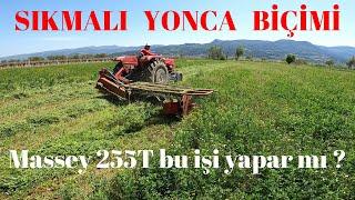 Sıkmalı Yonca Biçme - Massey 255T [ GoPro ]