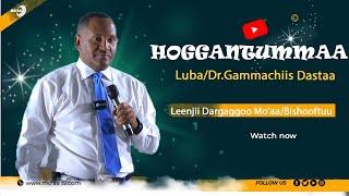 Hoggantummaa - Luba/Dr.Gammachiis Dastaa /leenjii dargaggoo mo'aa