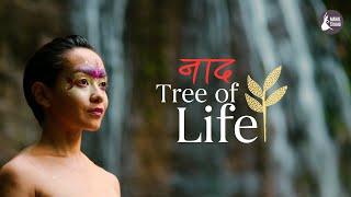 Naad | Tree Of Life | Indian Classical Global Fusion Music