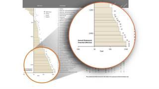 The Development Impact Assessment Framework and Process