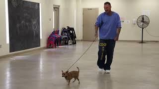 Little Dog Makes Tough Prisoner Smile! ️