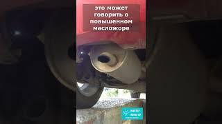Автомеханик рассказал, о чем говорит нагар на кончике выхлопной трубы