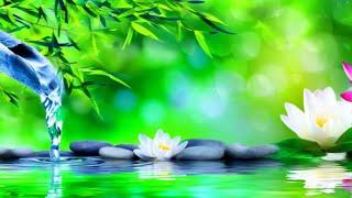 Melodic Bliss Unwind Your Mind and Soul with Beautiful Music for Deep Relaxation and Calmness